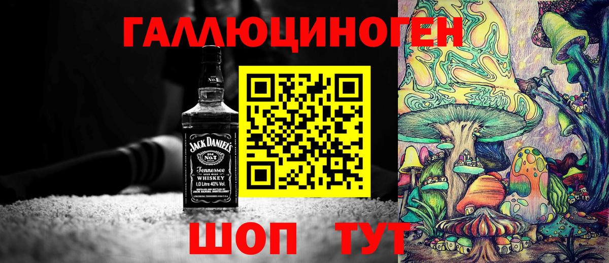 Псилоцибиновые грибы Psilocybe Лесозаводск